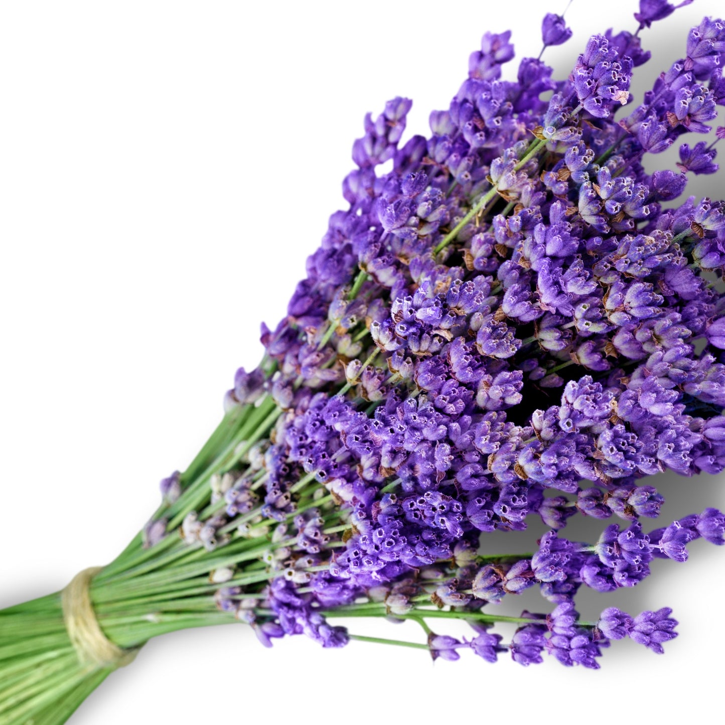 Tabletă din ceară parfumată cu Lavandă