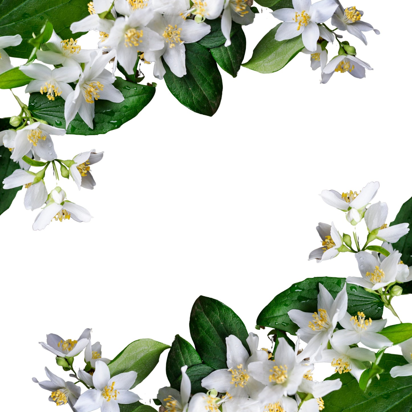 Lumânare parfumată cu Iasomie