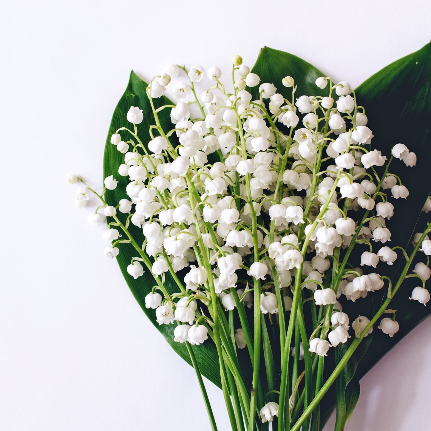 Tabletă din ceară parfumată cu Lăcrămioare